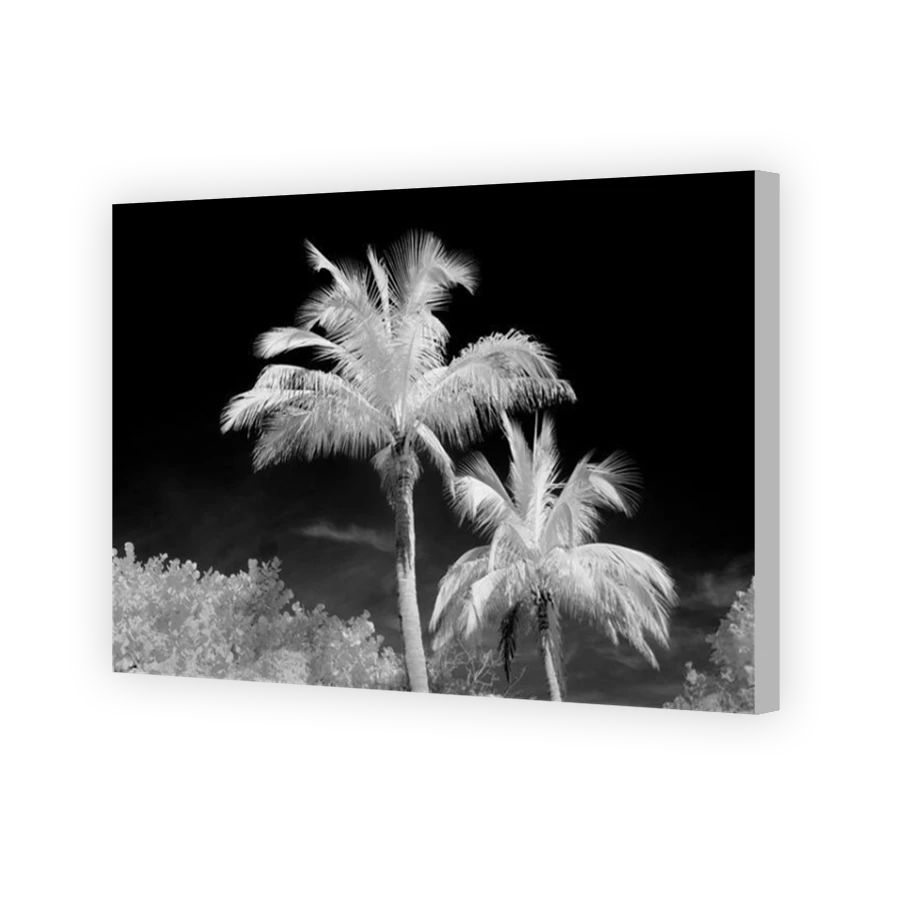 Thumbnail for Canvas - Coloured Canvas Wrap