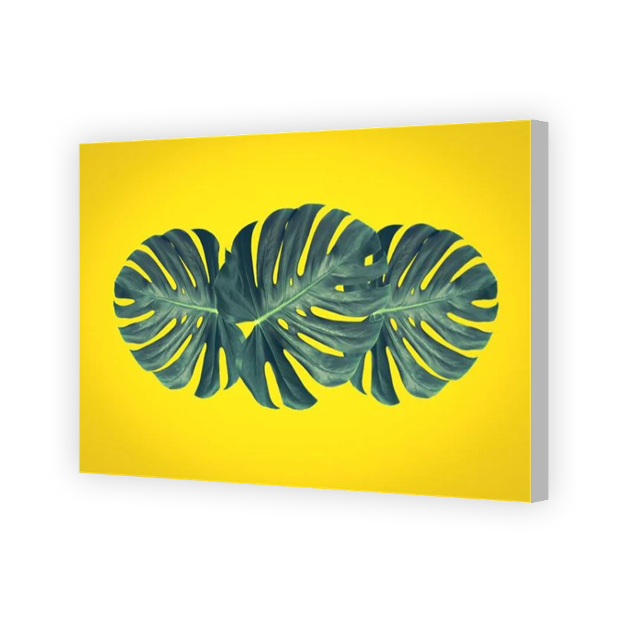 Thumbnail for Canvas - Coloured Canvas Wrap