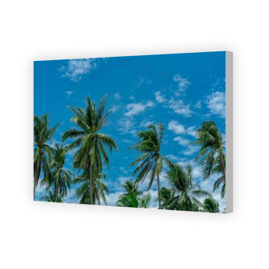 Thumbnail for Canvas - Coloured Canvas Wrap