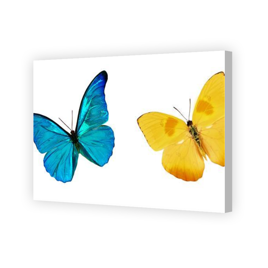 Thumbnail for Canvas - Coloured Canvas Wrap