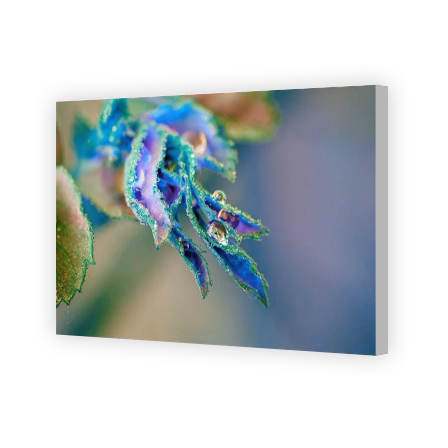 Thumbnail for Canvas - Coloured Canvas Wrap