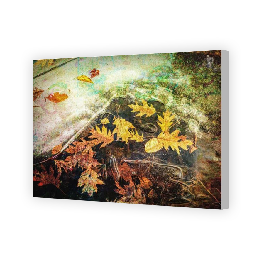 Thumbnail for Canvas - Coloured Canvas Wrap