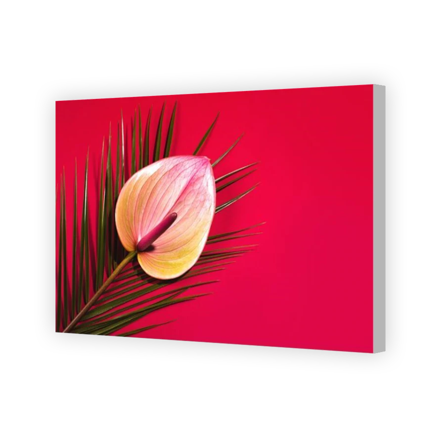Thumbnail for Canvas - Coloured Canvas Wrap