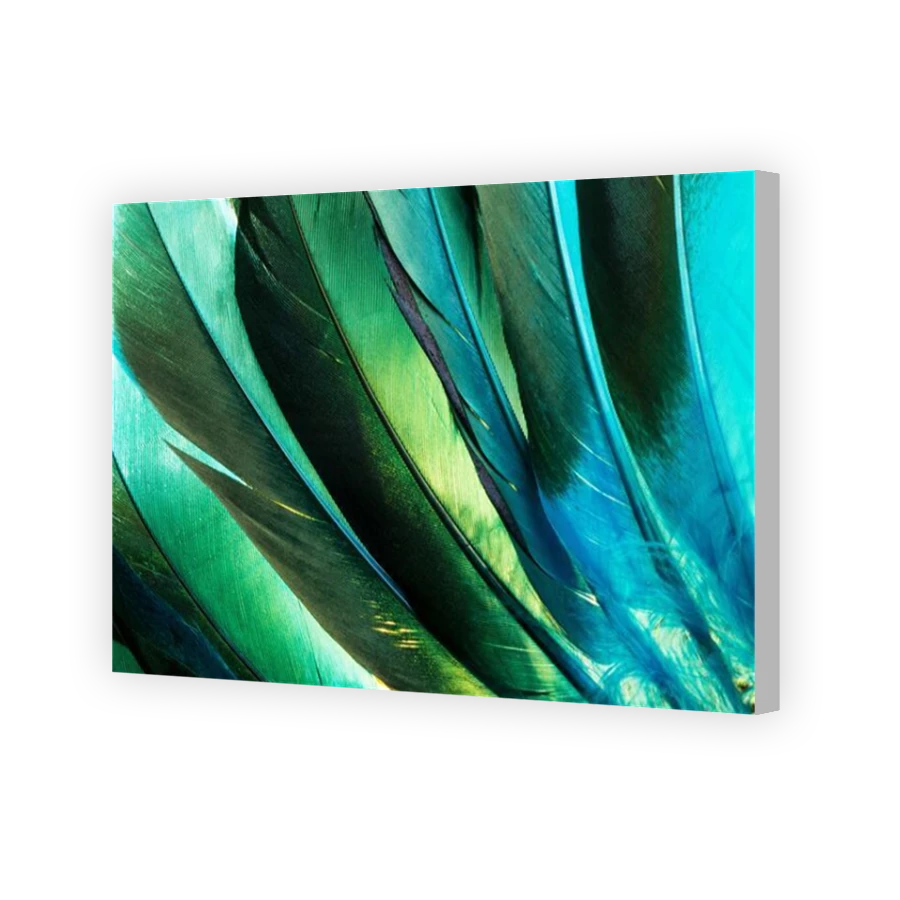 Thumbnail for Canvas - Coloured Canvas Wrap
