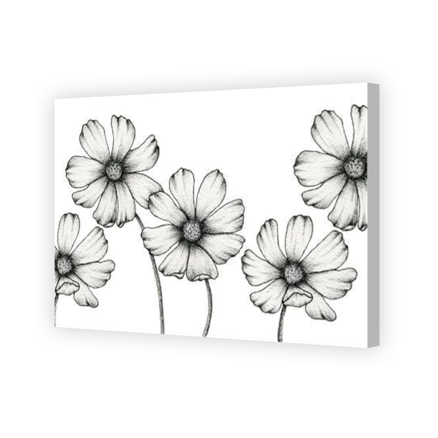 Thumbnail for Canvas - Coloured Canvas Wrap