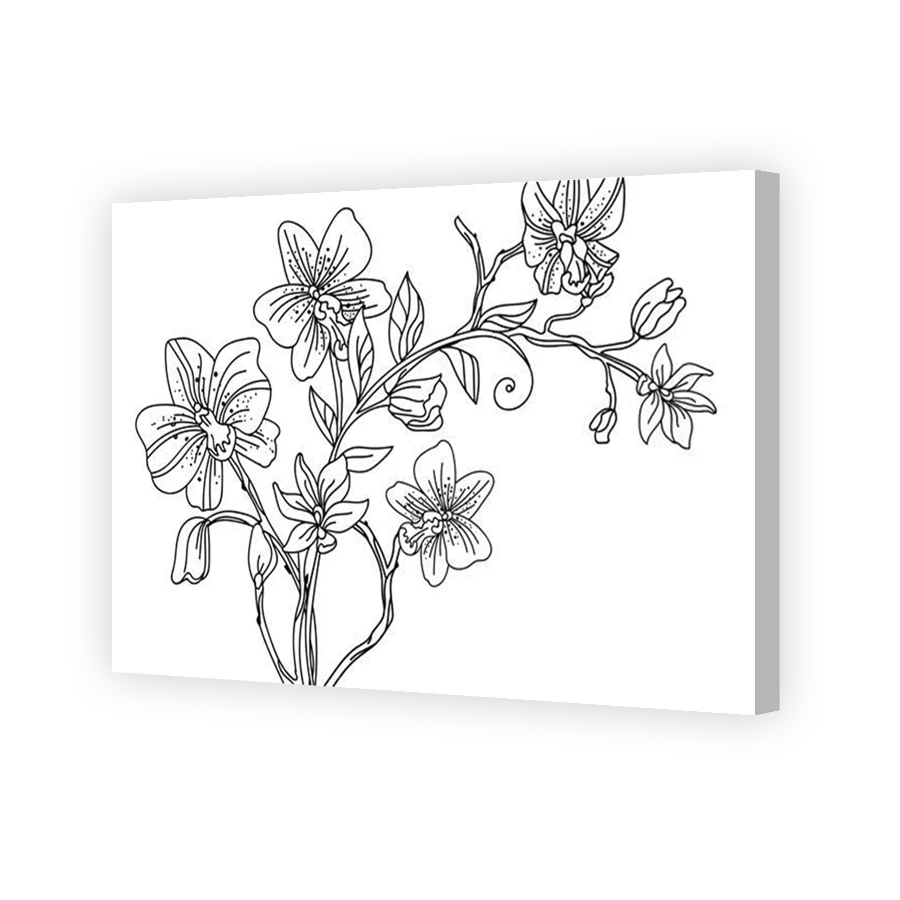 Thumbnail for Canvas - Coloured Canvas Wrap