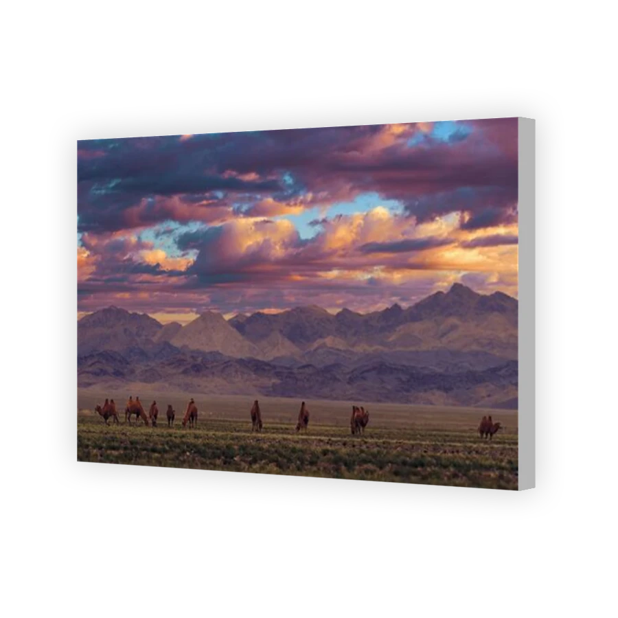 Thumbnail for Canvas - Coloured Canvas Wrap