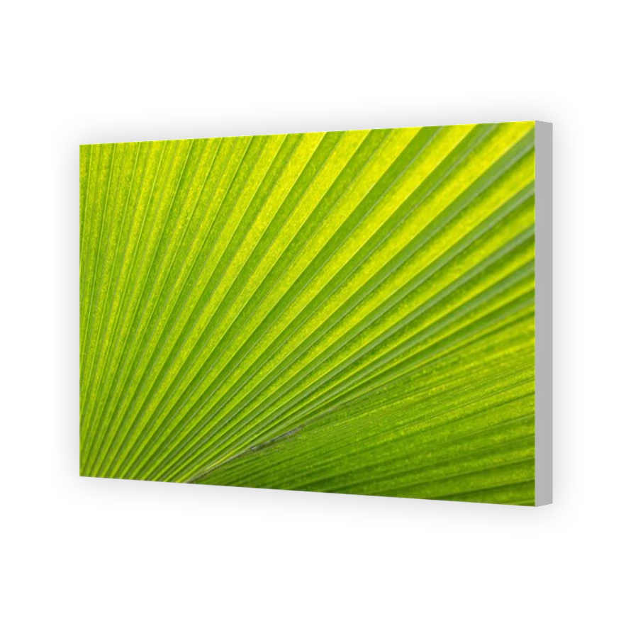 Thumbnail for Canvas - Coloured Canvas Wrap