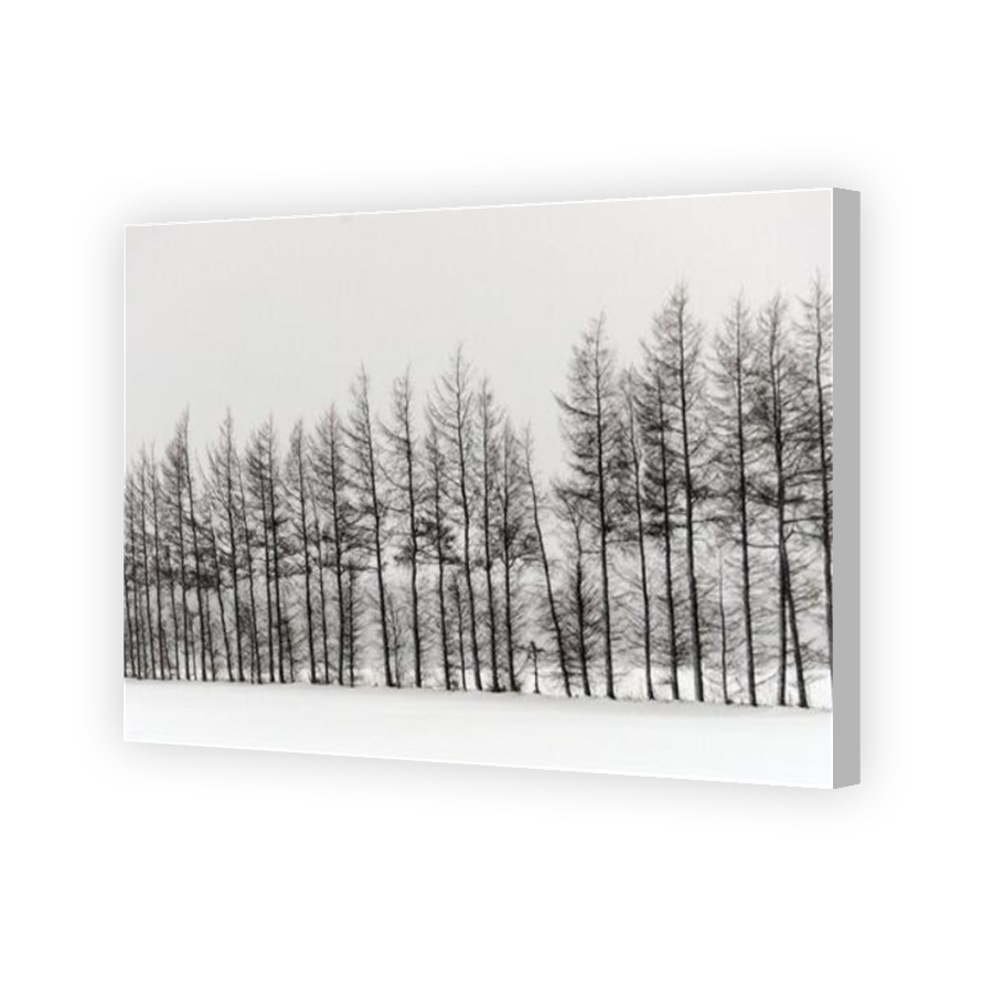 Thumbnail for Canvas - Coloured Canvas Wrap