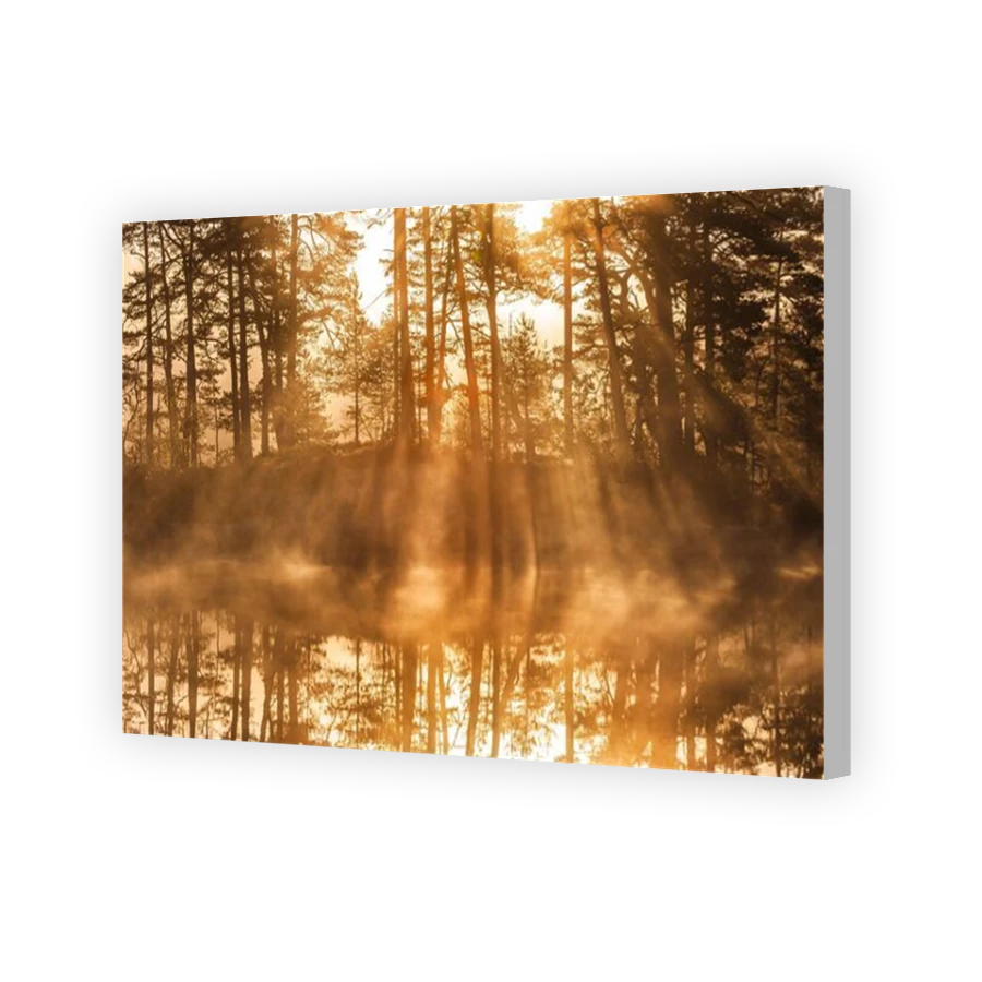 Thumbnail for Canvas - Coloured Canvas Wrap