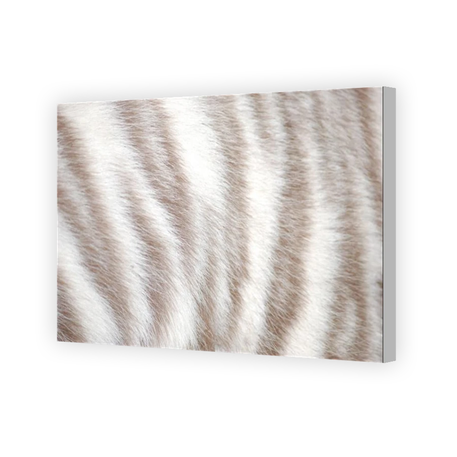 Thumbnail for Canvas - Coloured Canvas Wrap