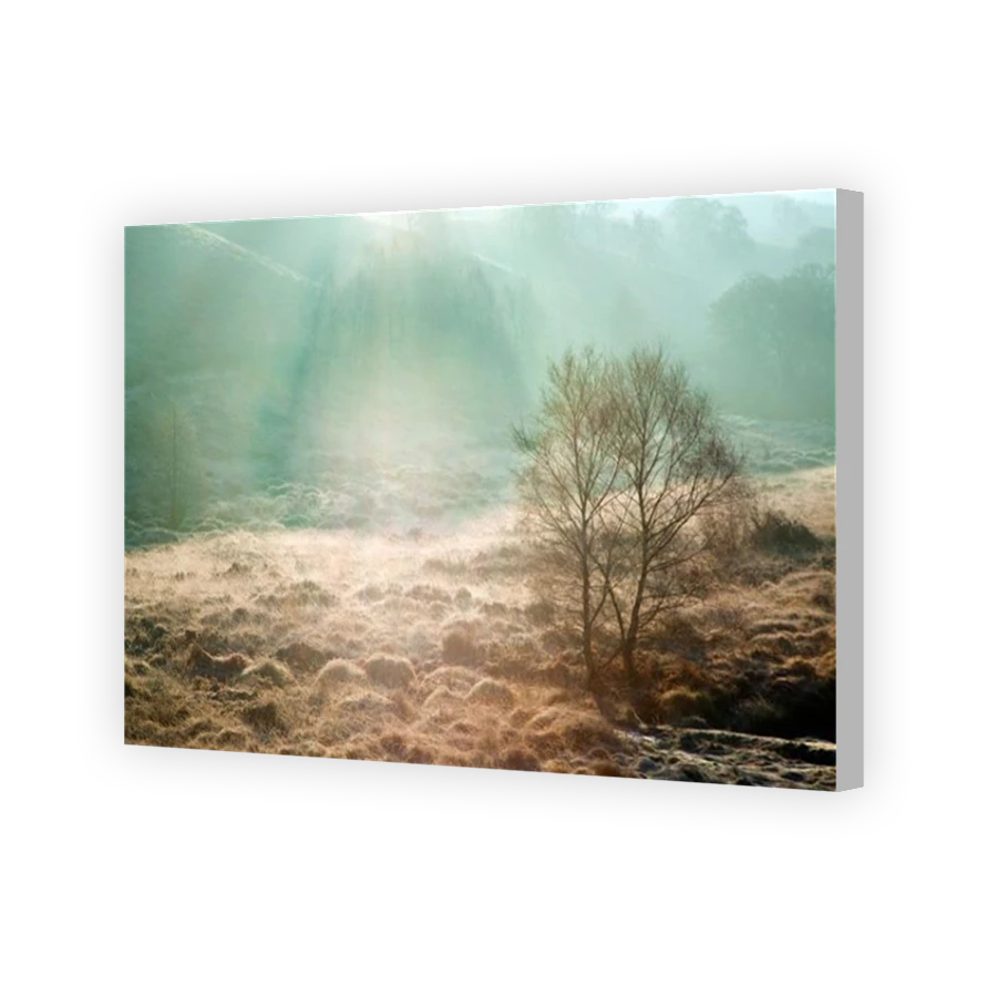 Thumbnail for Canvas - Coloured Canvas Wrap