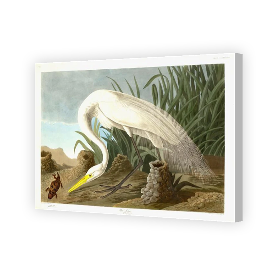 Thumbnail for Canvas - Coloured Canvas Wrap