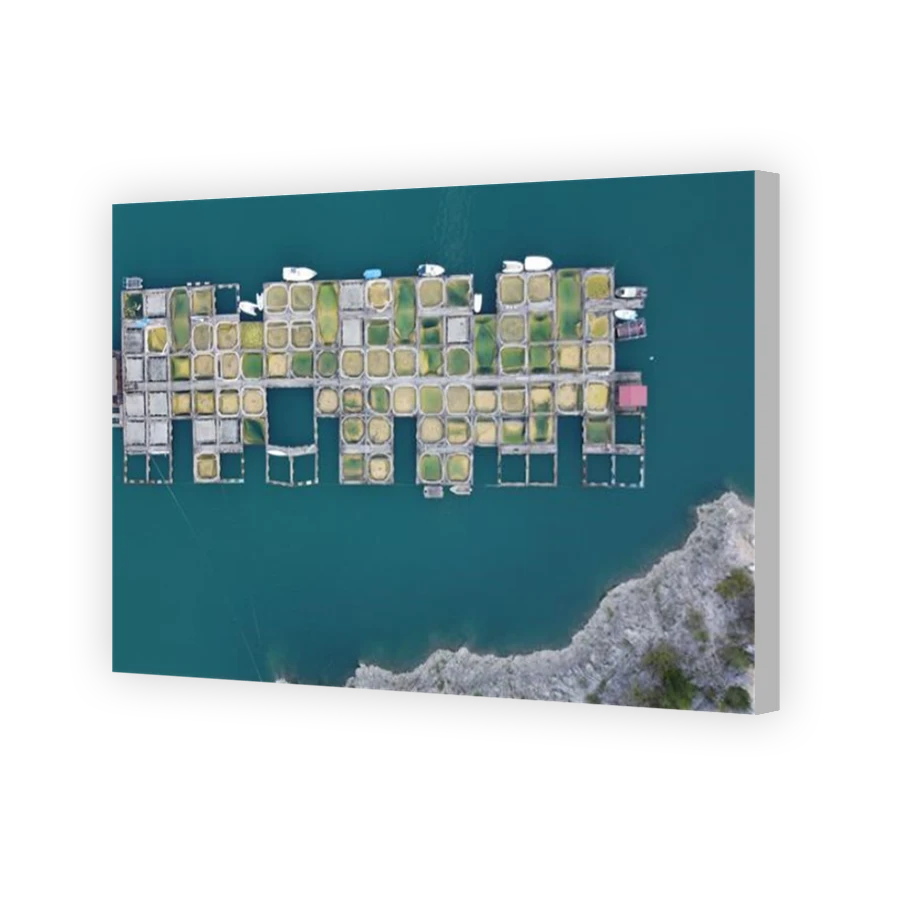 Thumbnail for Canvas - Coloured Canvas Wrap