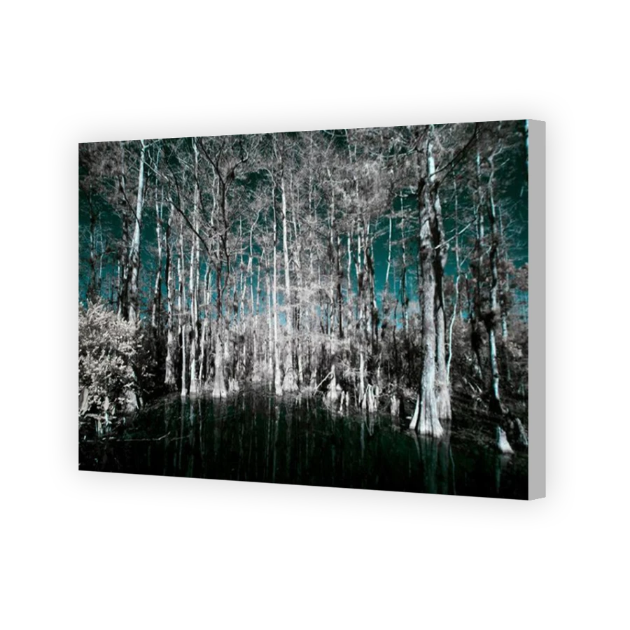 Thumbnail for Canvas - Coloured Canvas Wrap