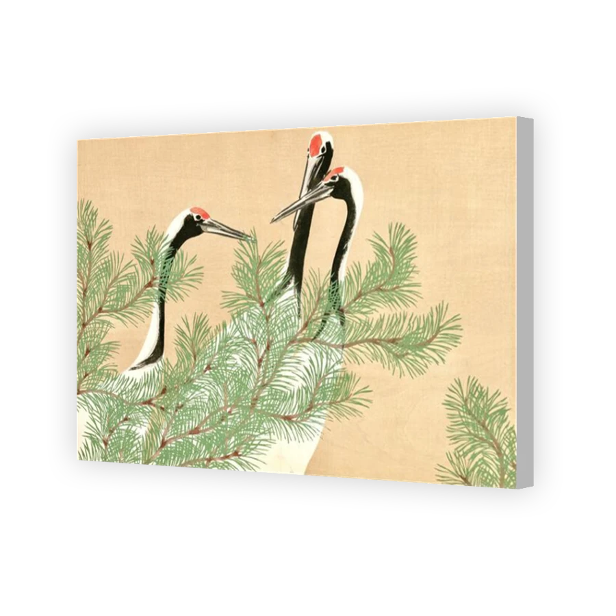 Thumbnail for Canvas - Coloured Canvas Wrap