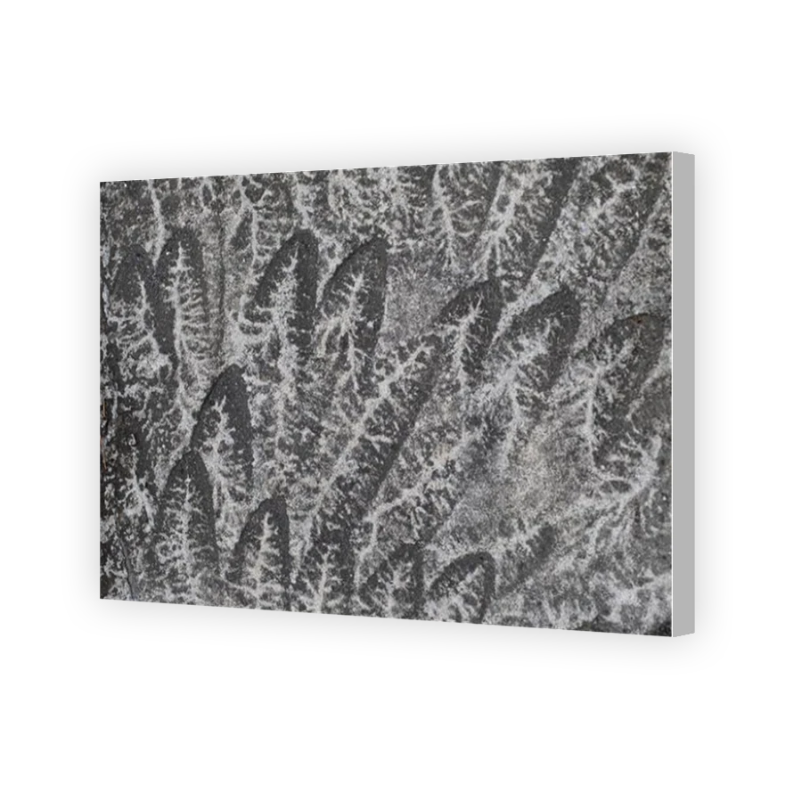 Thumbnail for Canvas - Coloured Canvas Wrap
