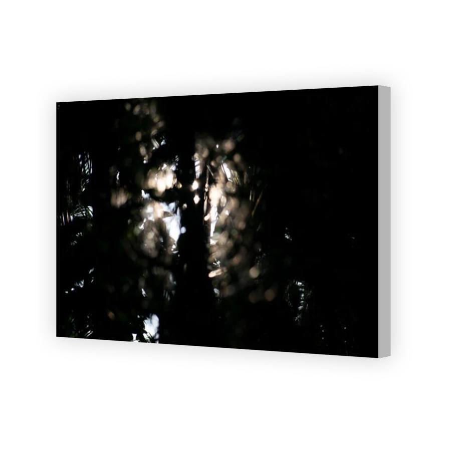 Thumbnail for Canvas - Coloured Canvas Wrap