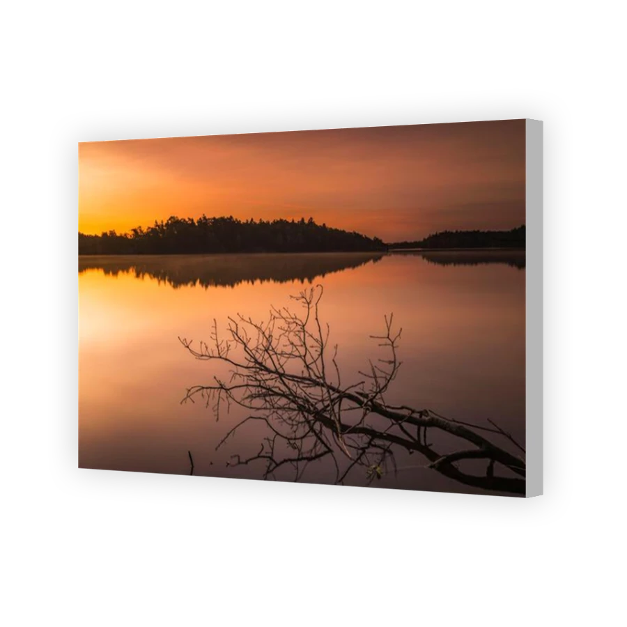 Thumbnail for Canvas - Coloured Canvas Wrap