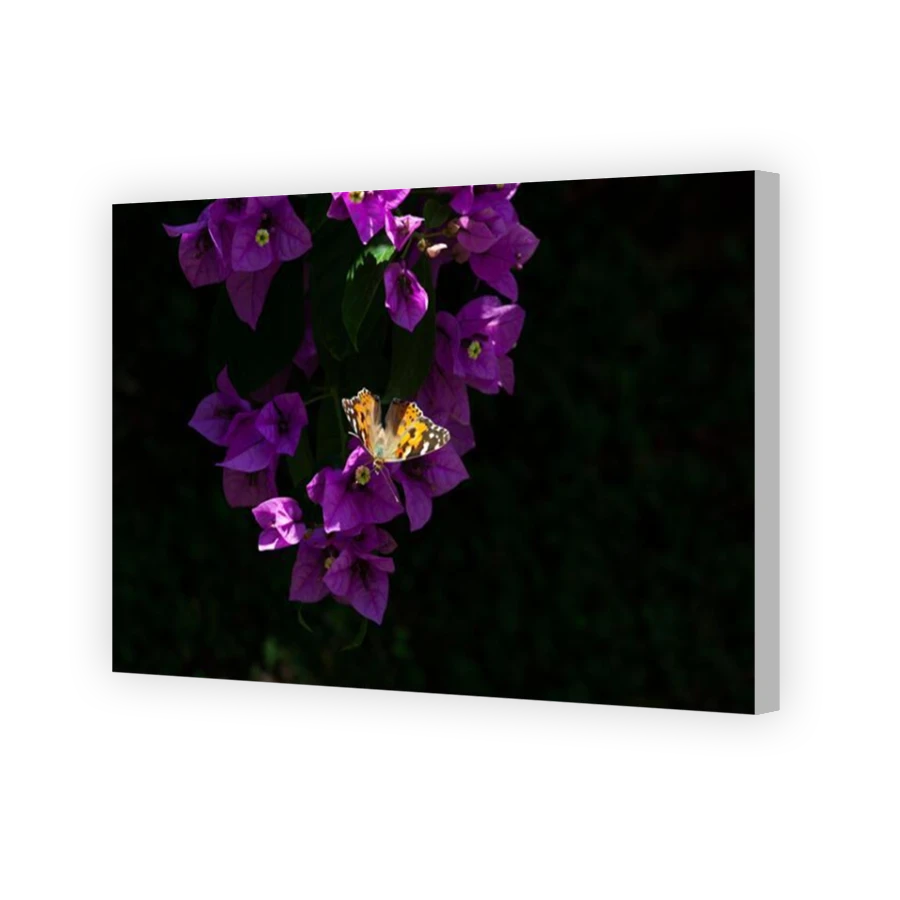 Thumbnail for Canvas - Coloured Canvas Wrap