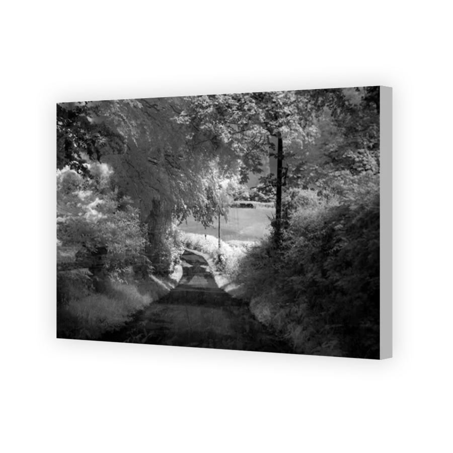Thumbnail for Canvas - Coloured Canvas Wrap