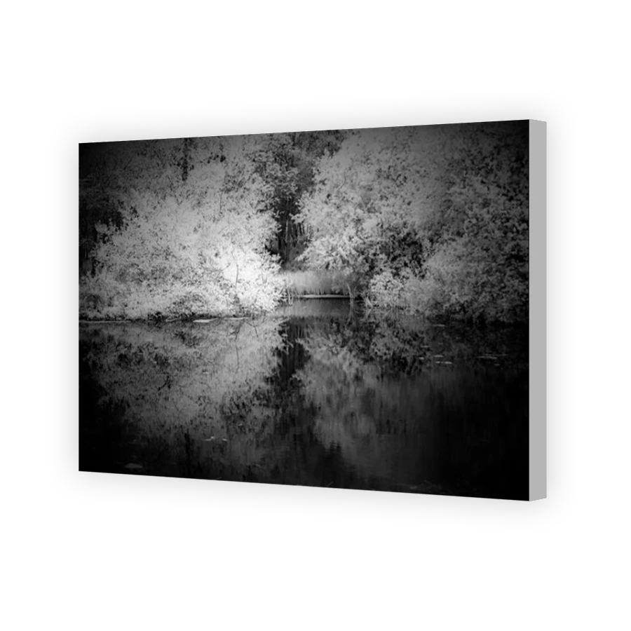 Thumbnail for Canvas - Coloured Canvas Wrap