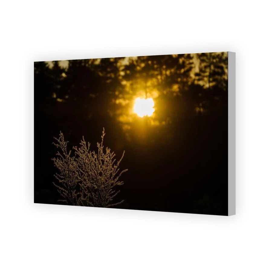 Thumbnail for Canvas - Coloured Canvas Wrap