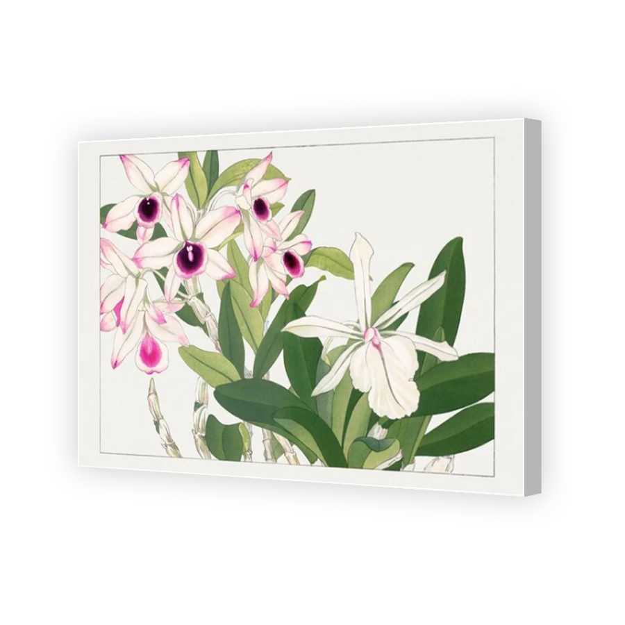Thumbnail for Canvas - Coloured Canvas Wrap