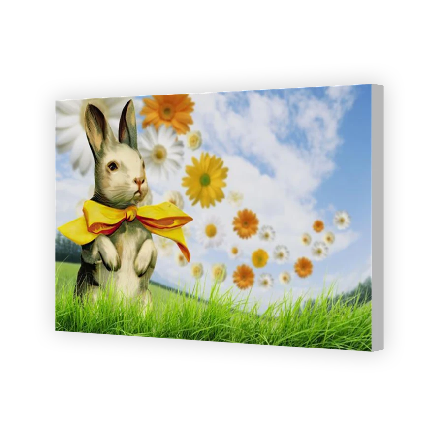 Thumbnail for Canvas - Coloured Canvas Wrap