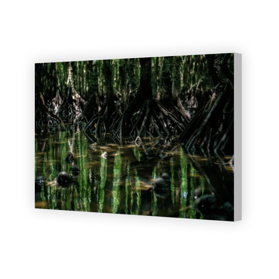 Thumbnail for Canvas - Coloured Canvas Wrap