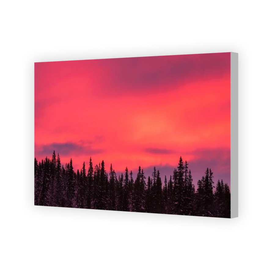 Thumbnail for Canvas - Coloured Canvas Wrap