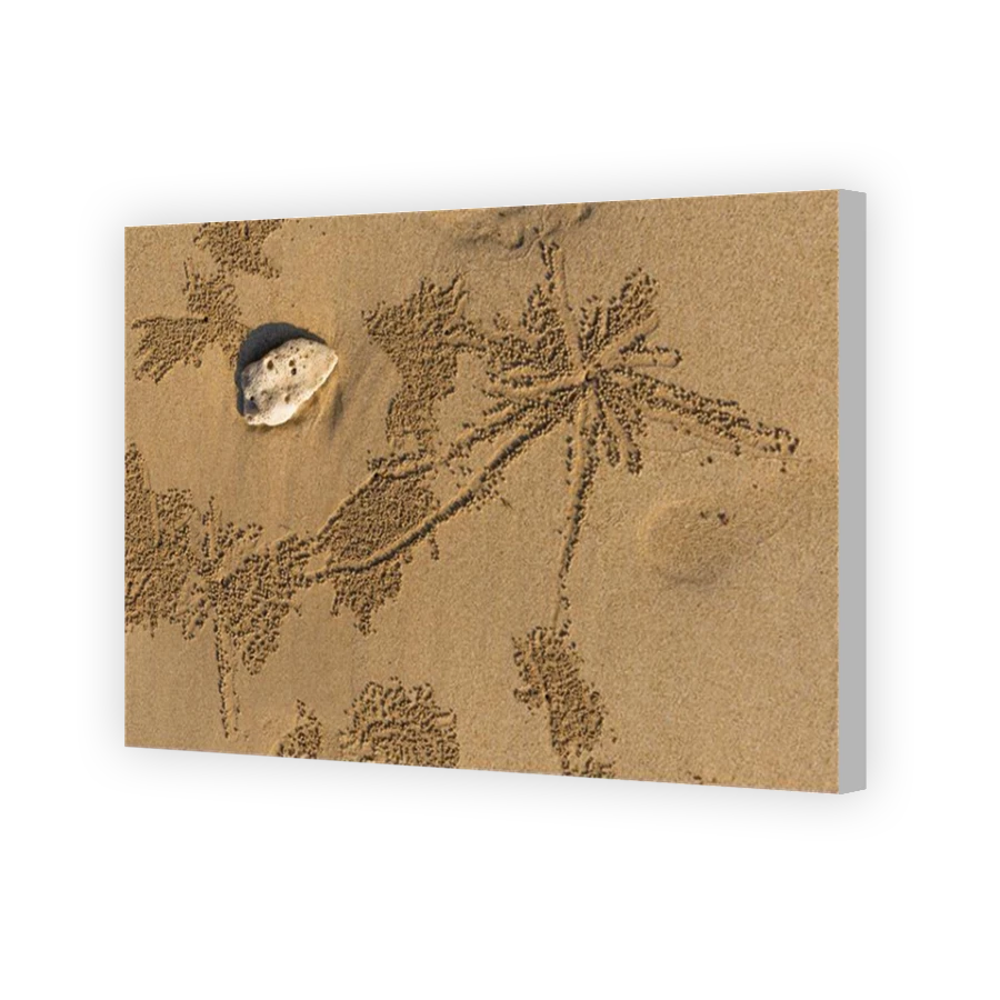 Thumbnail for Canvas - Coloured Canvas Wrap