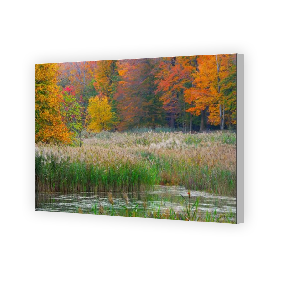 Thumbnail for Canvas - Coloured Canvas Wrap