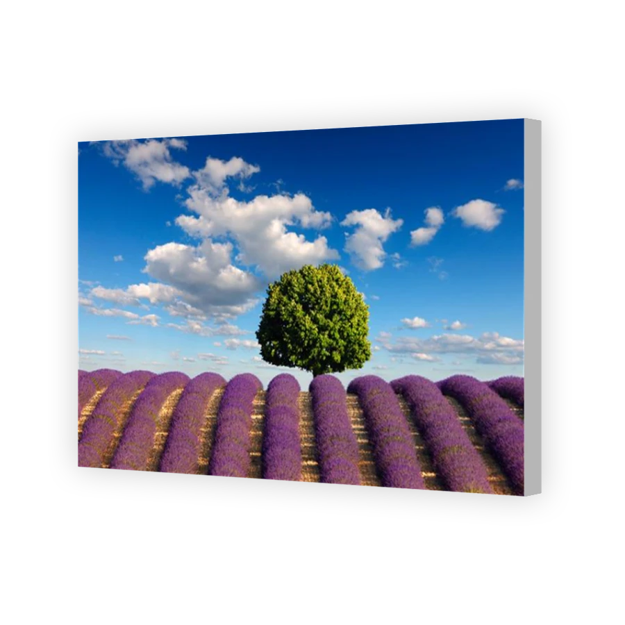 Thumbnail for Canvas - Coloured Canvas Wrap