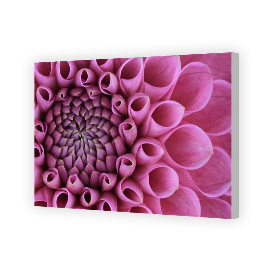 Thumbnail for Canvas - Coloured Canvas Wrap