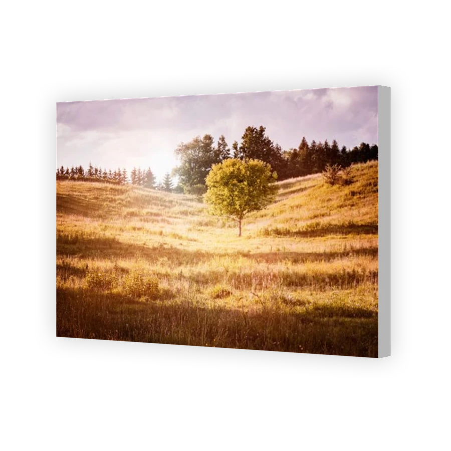 Thumbnail for Canvas - Coloured Canvas Wrap