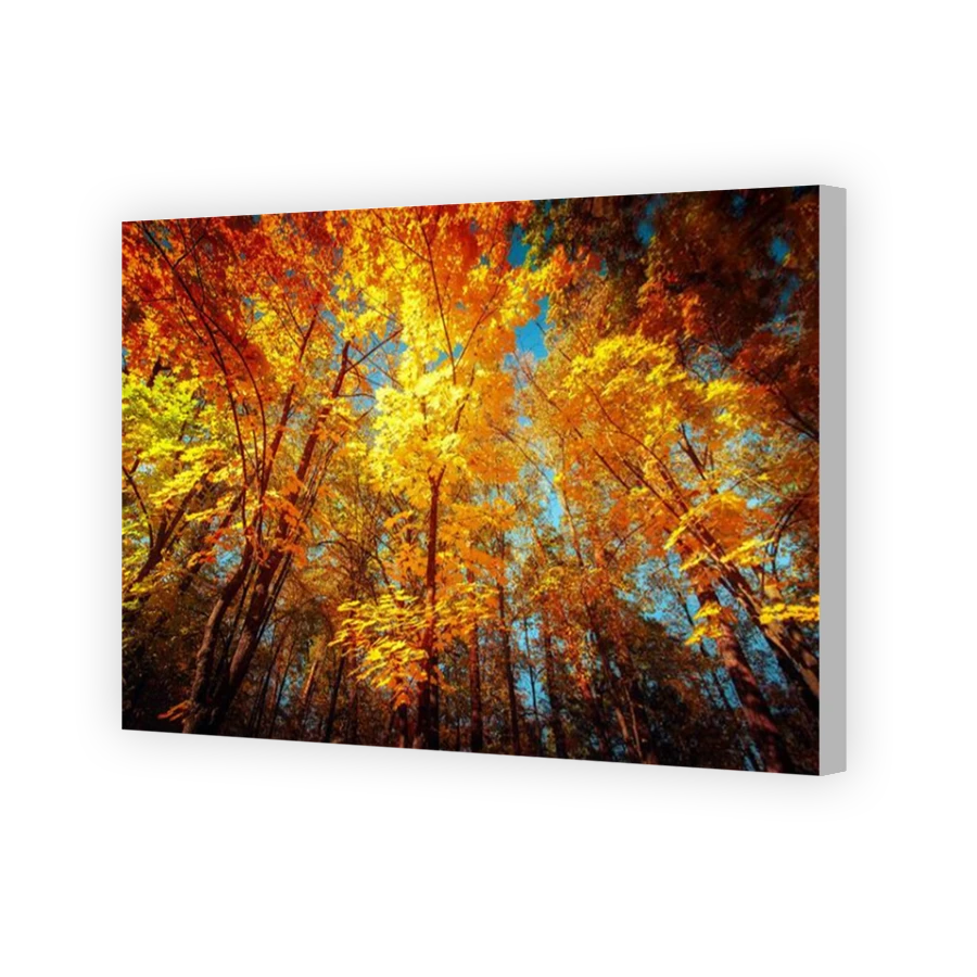 Thumbnail for Canvas - Coloured Canvas Wrap