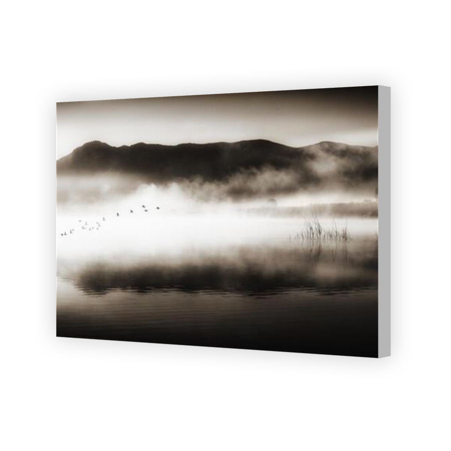 Thumbnail for Canvas - Coloured Canvas Wrap
