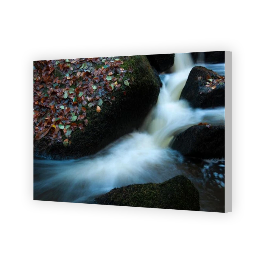 Thumbnail for Canvas - Coloured Canvas Wrap