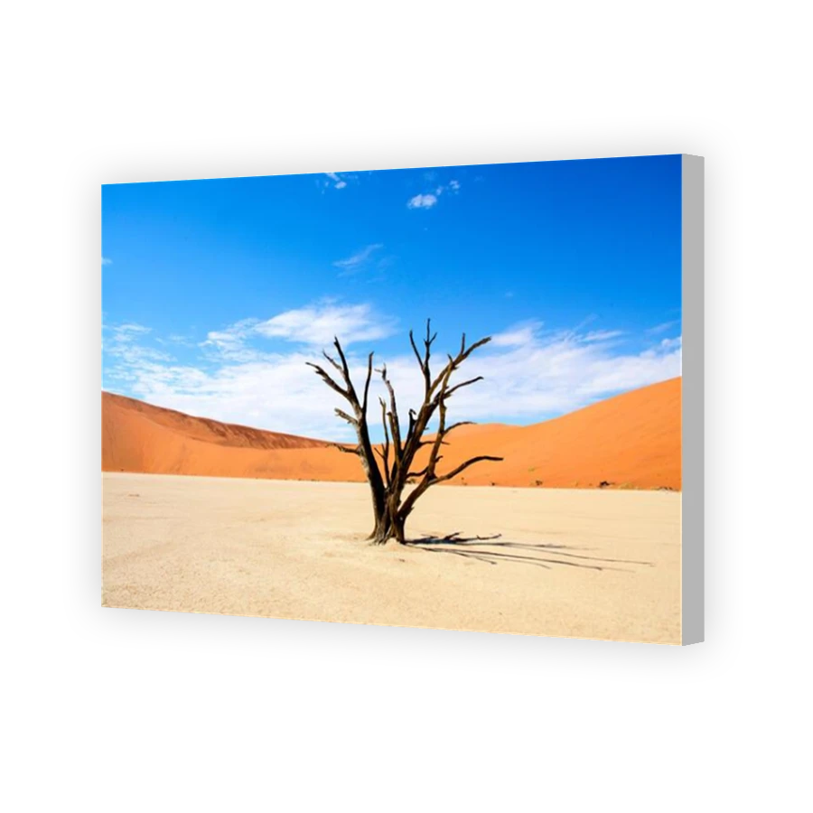 Thumbnail for Canvas - Coloured Canvas Wrap