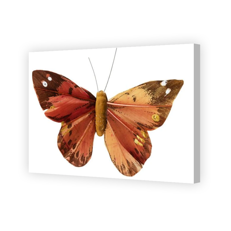 Thumbnail for Canvas - Coloured Canvas Wrap