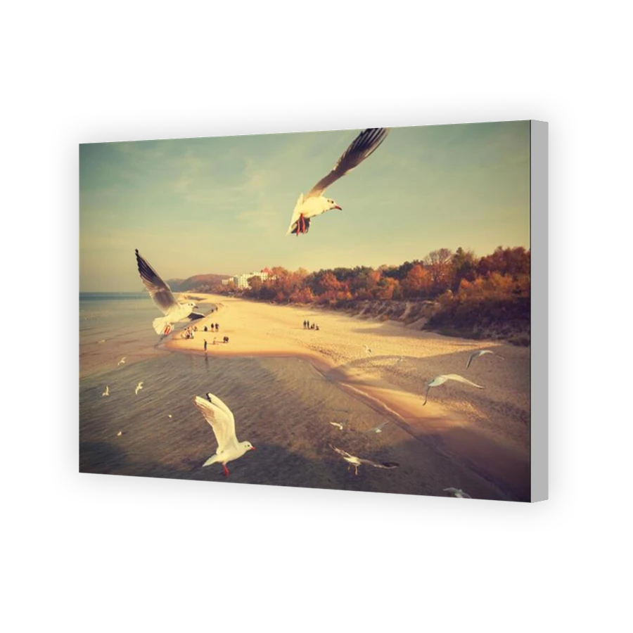 Thumbnail for Canvas - Coloured Canvas Wrap