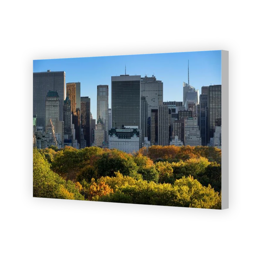 Thumbnail for Canvas - Coloured Canvas Wrap