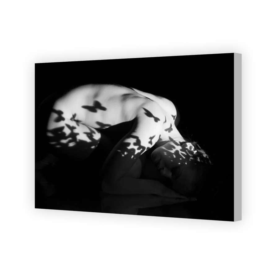 Thumbnail for Canvas - Coloured Canvas Wrap