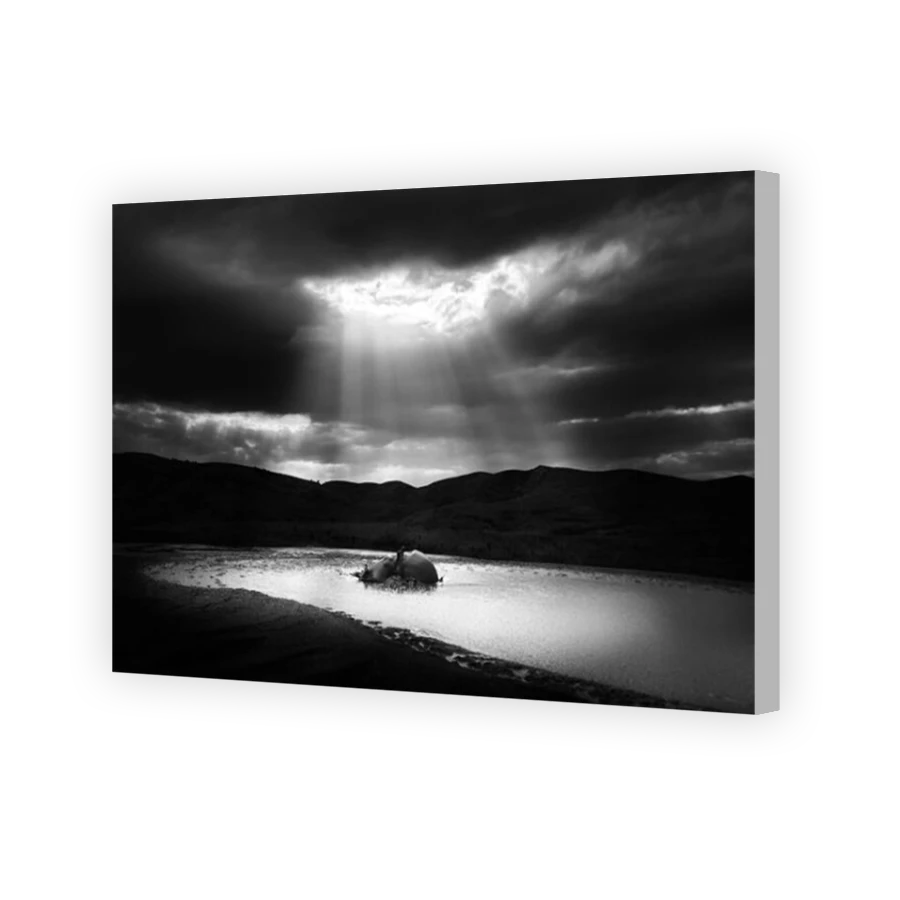 Thumbnail for Canvas - Coloured Canvas Wrap