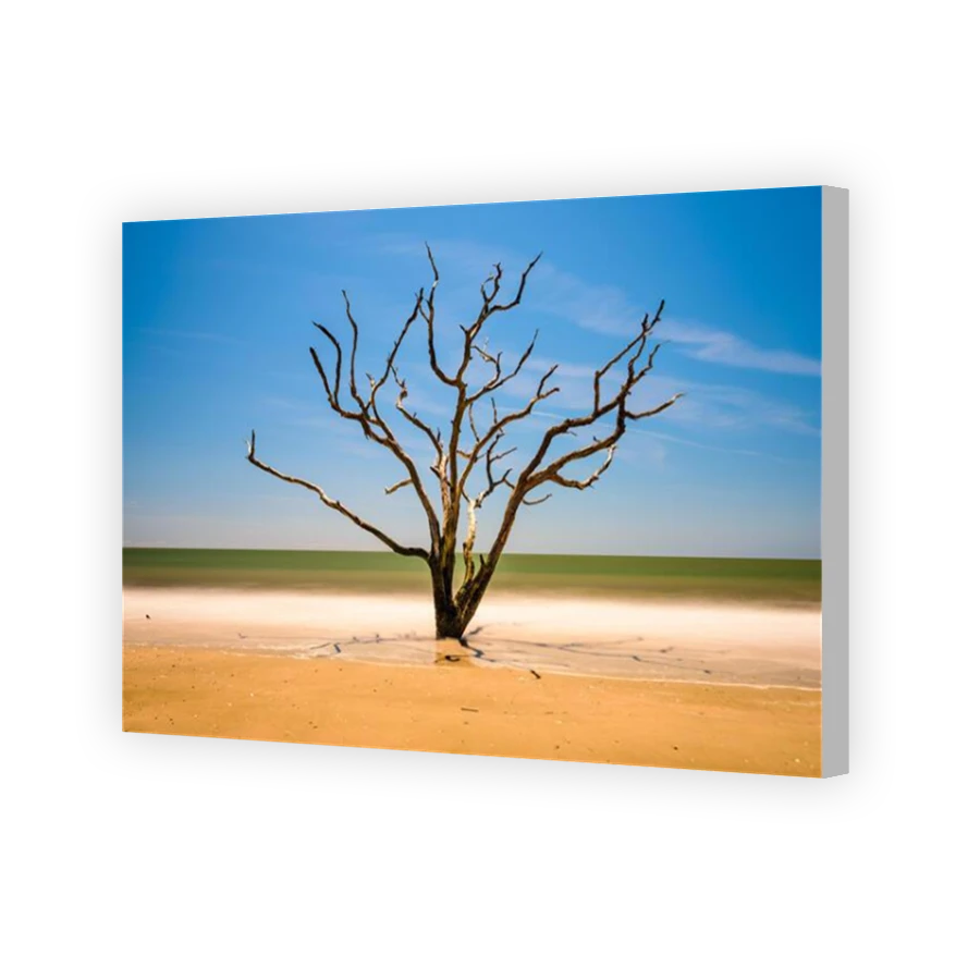 Thumbnail for Canvas - Coloured Canvas Wrap