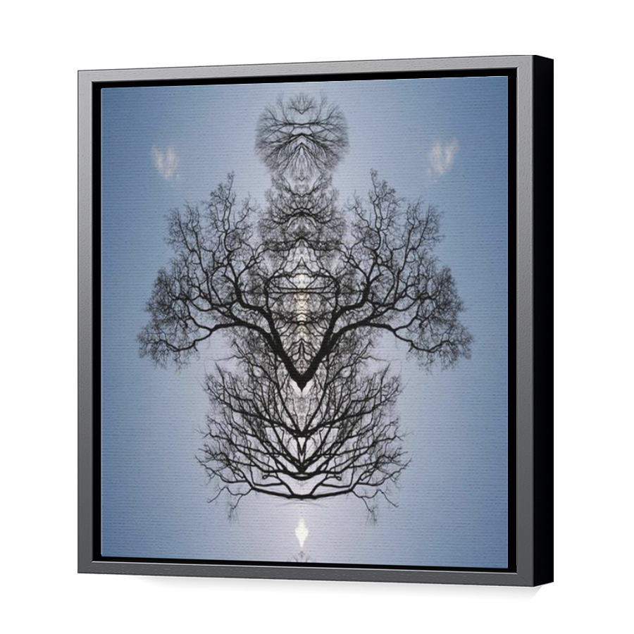 Thumbnail for Canvas - Black Floating Frame