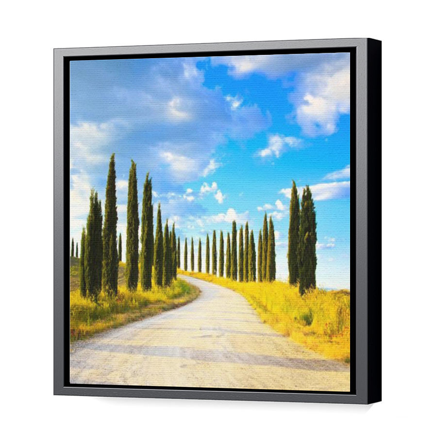 Thumbnail for Canvas - Black Floating Frame