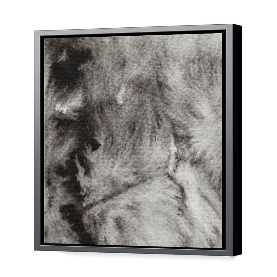 Thumbnail for Canvas - Black Floating Frame