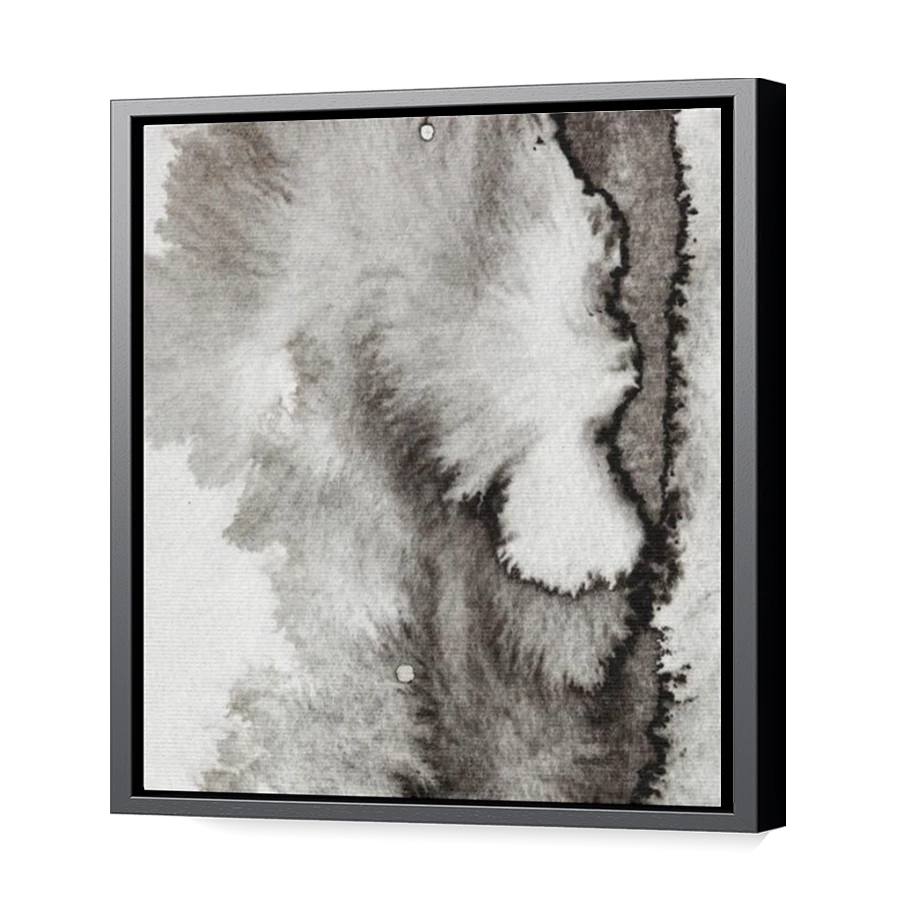 Thumbnail for Canvas - Black Floating Frame
